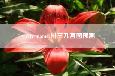 博罗排三九宫图预测