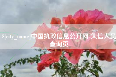 博罗中国执政信息公开网-失信人员查询页
