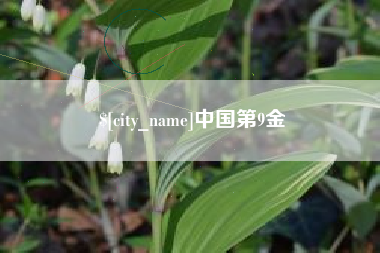 博罗中国第9金