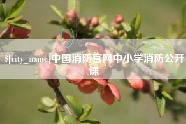 博罗中国消防官网中小学消防公开课