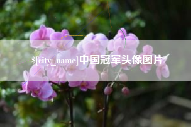 博罗中国冠军头像图片