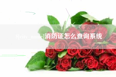 博罗消防证怎么查询系统