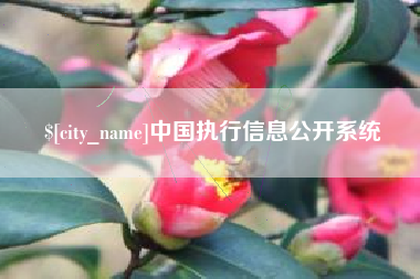 博罗中国执行信息公开系统