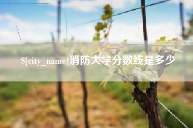 博罗消防大学分数线是多少