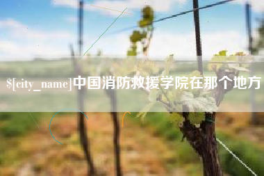 博罗中国消防救援学院在那个地方