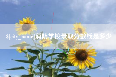 博罗消防学校录取分数线是多少