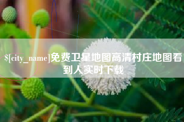 博罗免费卫星地图高清村庄地图看到人实时下载