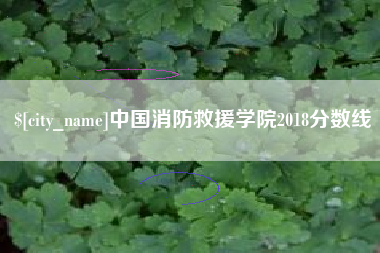 博罗中国消防救援学院2018分数线