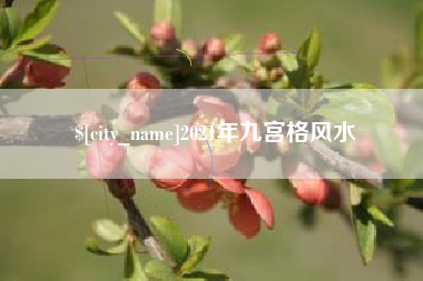 博罗2021年九宫格风水