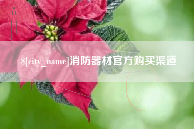 博罗消防器材官方购买渠道