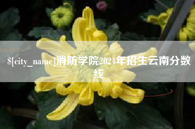 博罗消防学院2024年招生云南分数线