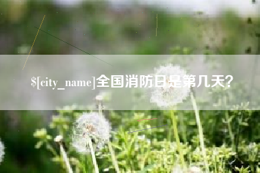 博罗全国消防日是第几天？
