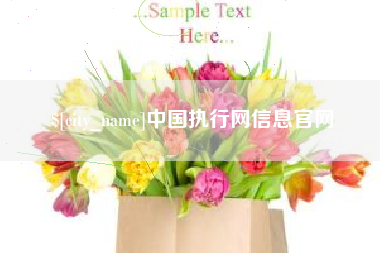 博罗中国执行网信息官网