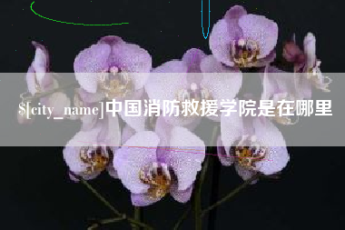 博罗中国消防救援学院是在哪里