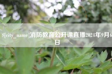 博罗消防教育公开课直播2024年9月6日