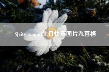博罗生日快乐图片九宫格