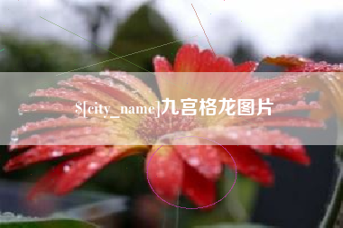 博罗九宫格龙图片