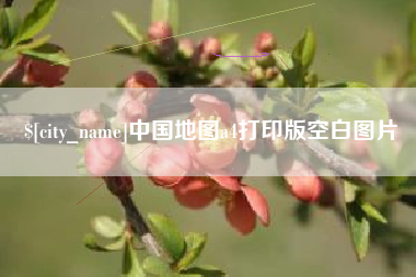 博罗中国地图a4打印版空白图片