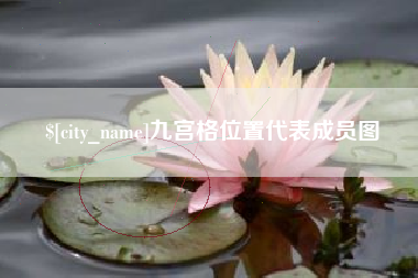 博罗九宫格位置代表成员图