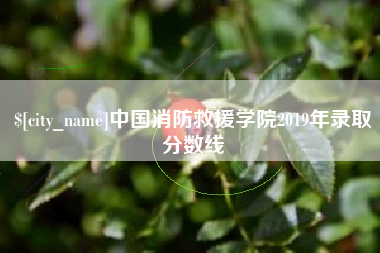 博罗中国消防救援学院2019年录取分数线