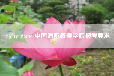 博罗中国消防救援学院报考要求