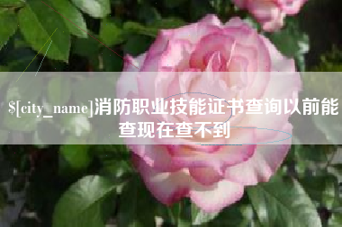 博罗消防职业技能证书查询以前能查现在查不到