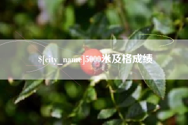 博罗5000米及格成绩