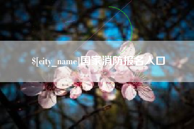 博罗国家消防报名入口