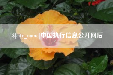 博罗中国执行信息公开网后