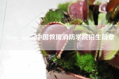 博罗中国救援消防学院招生简章