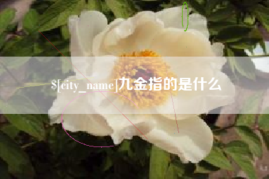 博罗九金指的是什么