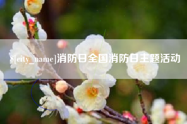 博罗消防日全国消防日主题活动
