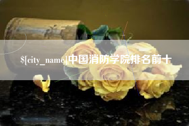 博罗中国消防学院排名前十