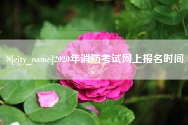 博罗2020年消防考试网上报名时间