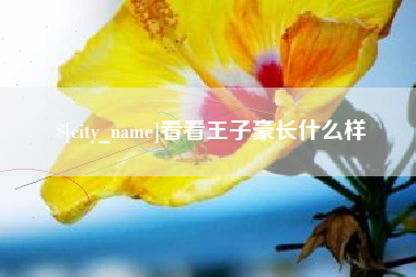 博罗看看王子豪长什么样