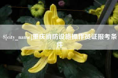 博罗重庆消防设施操作员证报考条件