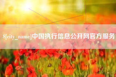 博罗中国执行信息公开网官方服务