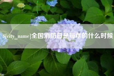 博罗全国消防日是每年的什么时候