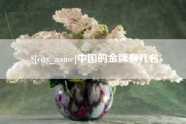 博罗中国的金牌有几名