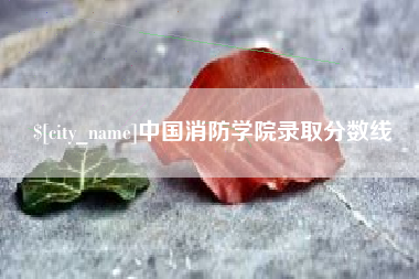 博罗中国消防学院录取分数线