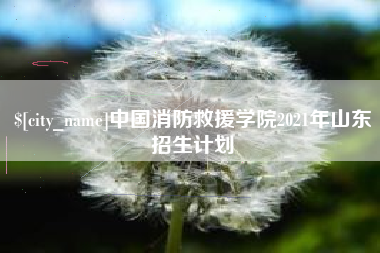 博罗中国消防救援学院2021年山东招生计划