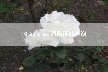 博罗消防证的查询