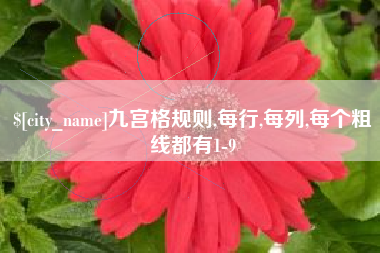 博罗九宫格规则,每行,每列,每个粗线都有1-9
