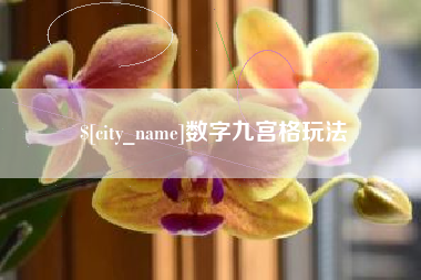 博罗数字九宫格玩法