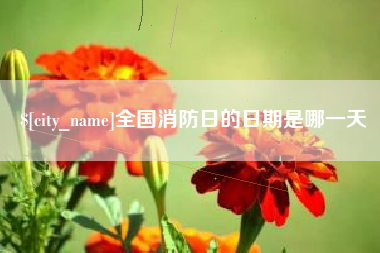 博罗全国消防日的日期是哪一天