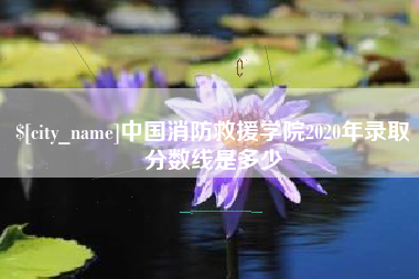 博罗中国消防救援学院2020年录取分数线是多少