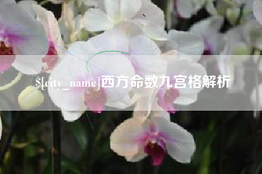 博罗西方命数九宫格解析