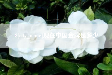 博罗现在中国金牌是多少