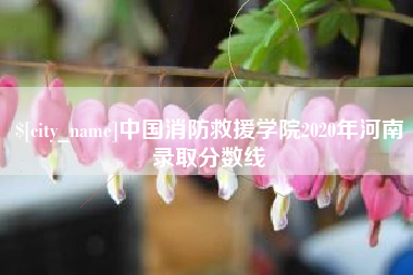 博罗中国消防救援学院2020年河南录取分数线