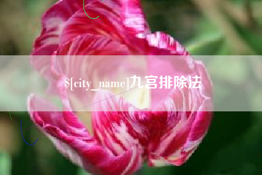 博罗九宫排除法